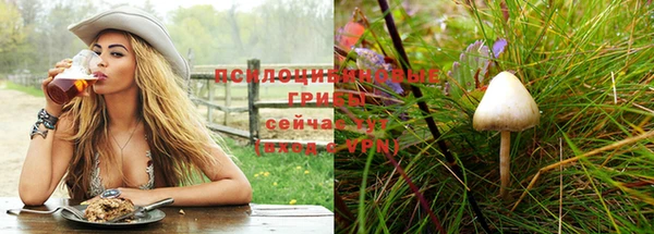 СК Абинск